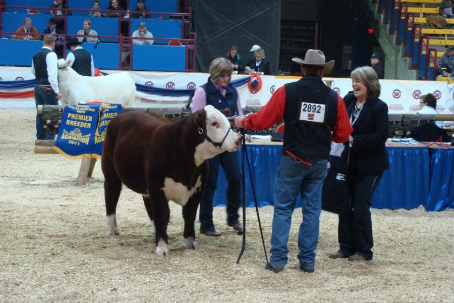 Toros Hereford