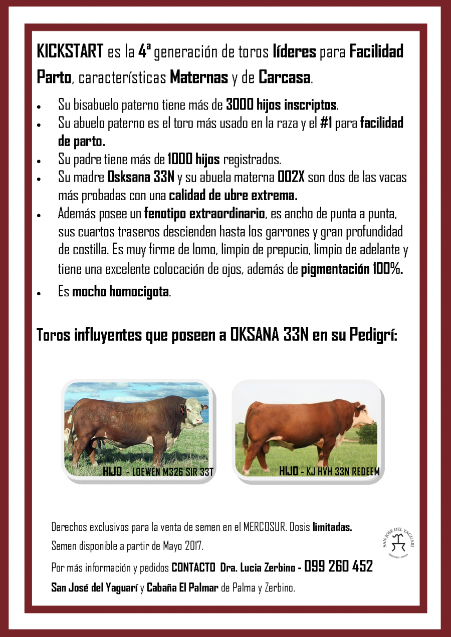 Toros Hereford