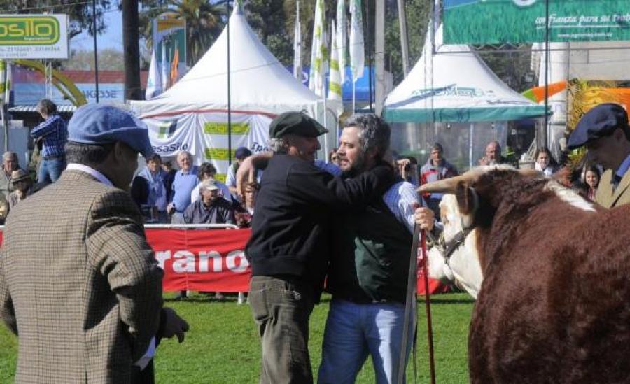 Toros Hereford