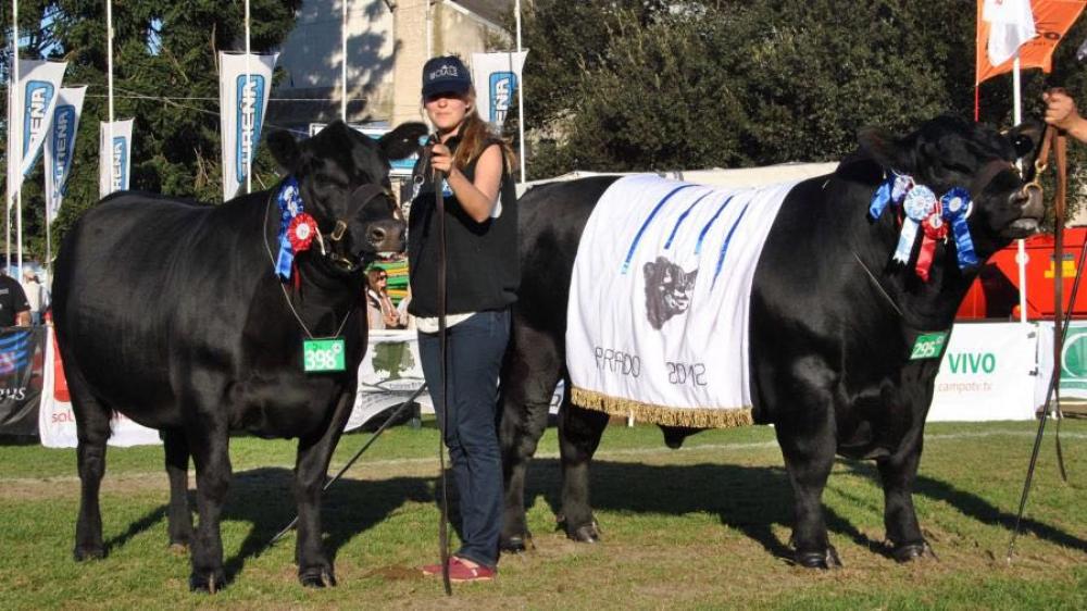 BLACK JACK - Gran Campeón Expo Prado 2012